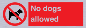 No dogs allowed